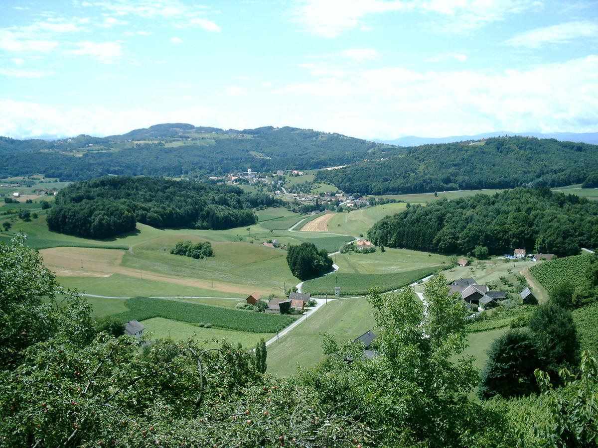 Weingartenhotel Harkamp Suedsteiermark Sankt Nikolai im Sausal Bilik gambar