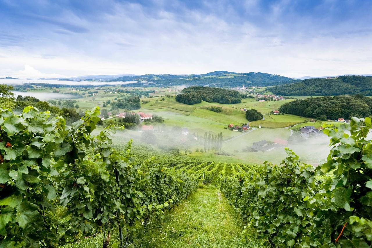 Weingartenhotel Harkamp Suedsteiermark Sankt Nikolai im Sausal Bilik gambar